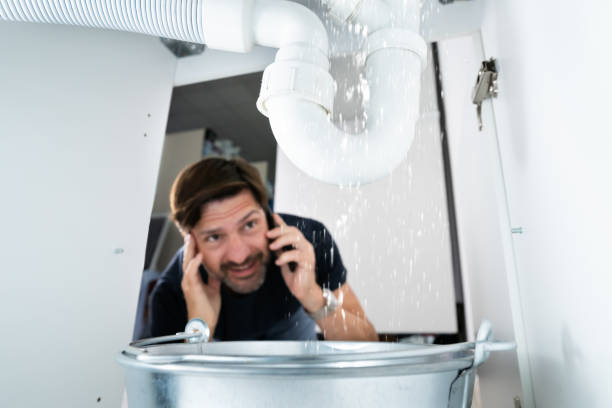 Best Boilers & Radiators  in Palmer Ranch, FL