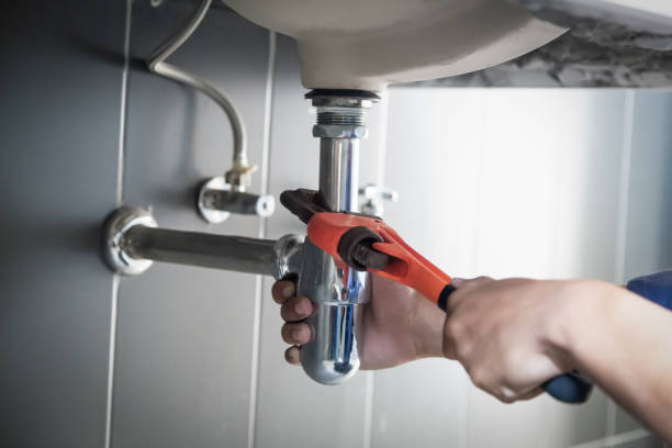 Best Sprinkler Systems  in Palmer Ranch, FL
