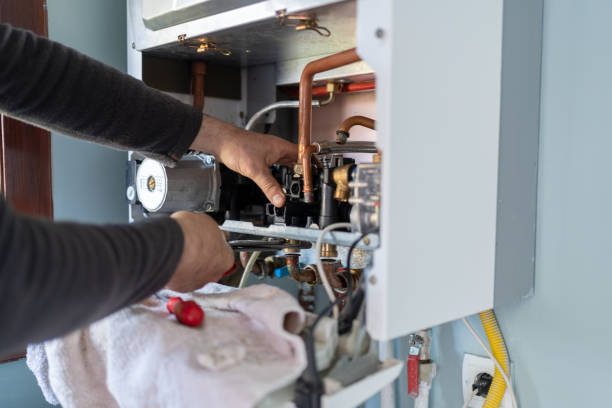 Best Plumbing Inspection Services  in Palmer Ranch, FL