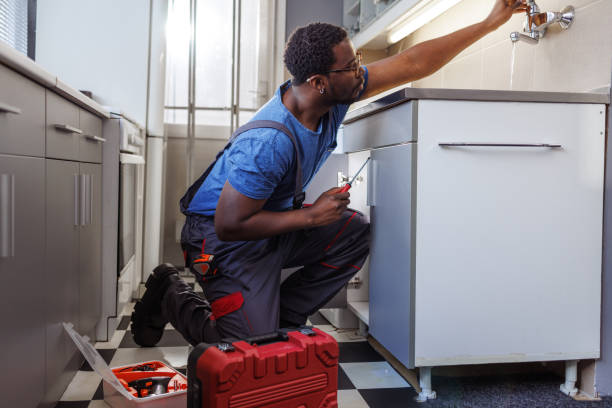 Best Shower Repair Services  in Palmer Ranch, FL