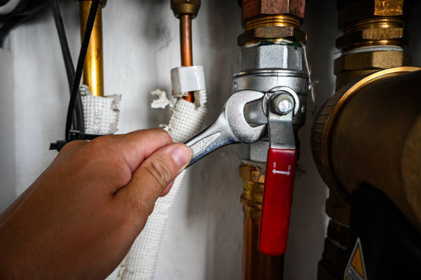 Best Affordable Plumbing Services  in Palmer Ranch, FL